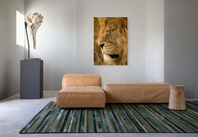 Tablou Canvas, "Regele savanei doarme liniștit", Leu, Blană, Somn, Serenitate, Mândrie, Majestuos, Natură, Grație, Putere, 70 x 100 cm – poza 7