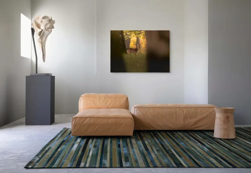 Tablou Canvas, "Căprioara în pădurea aurie de toamnă", Căprioară, Pădure, Toamnă, Luminiș, Natură, Frunziș, Lumină, Serenitate, 100 x 70 cm – poza 7