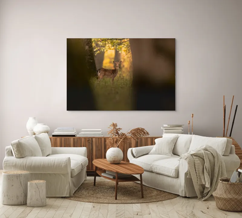 Tablou Canvas, "Căprioara în pădurea aurie de toamnă", Căprioară, Pădure, Toamnă, Luminiș, Natură, Frunziș, Lumină, Serenitate, 150 x 100 cm – poza 3