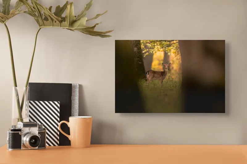 Tablou Canvas, "Căprioara în pădurea aurie de toamnă", Căprioară, Pădure, Toamnă, Luminiș, Natură, Frunziș, Lumină, Serenitate, 39 x 26 cm – poza 3