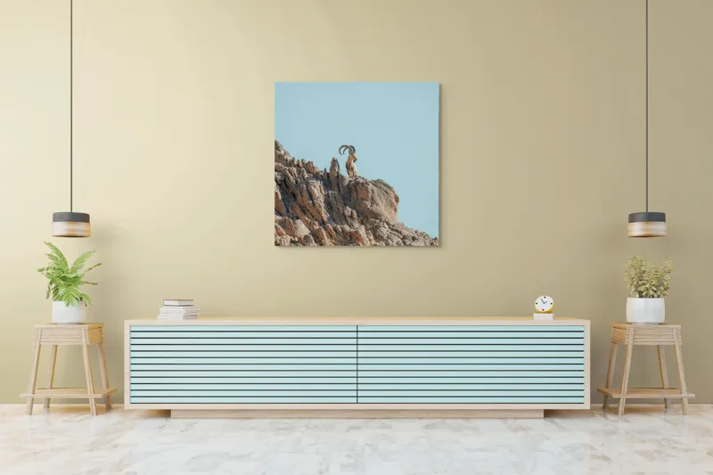 Tablou Canvas, "Capra de stâncă în zare senină", Desert, Capră, Stâncă, Cer, Sălbăticie, Natură, Solitudine, Linie, Orizont, Verticalitate, 100 x 100 cm – poza 5