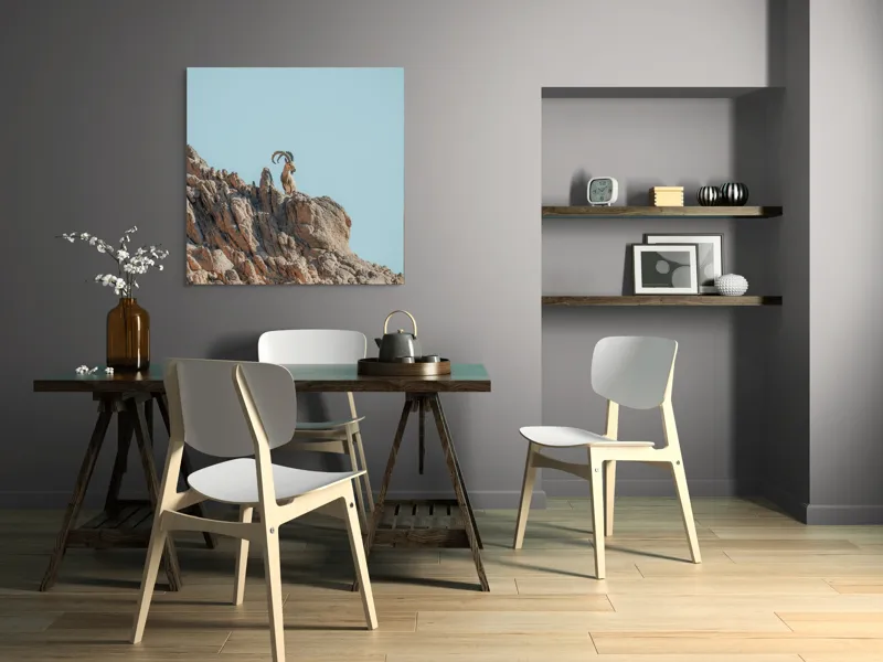 Tablou Canvas, "Capra de stâncă în zare senină", Desert, Capră, Stâncă, Cer, Sălbăticie, Natură, Solitudine, Linie, Orizont, Verticalitate, 100 x 100 cm – poza 6