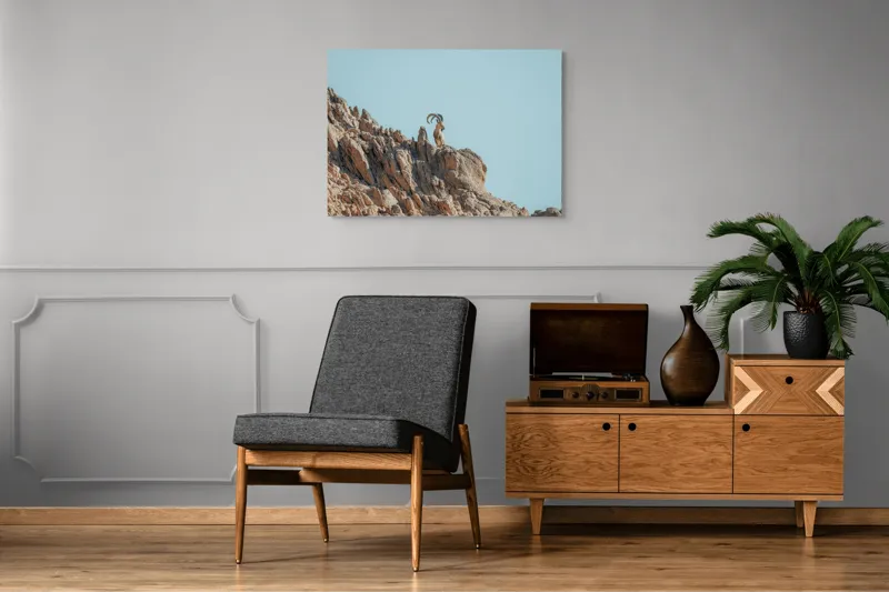 Tablou Canvas, "Capra de stâncă în zare senină", Desert, Capră, Stâncă, Cer, Sălbăticie, Natură, Solitudine, Linie, Orizont, Verticalitate, 100 x 70 cm – poza 8