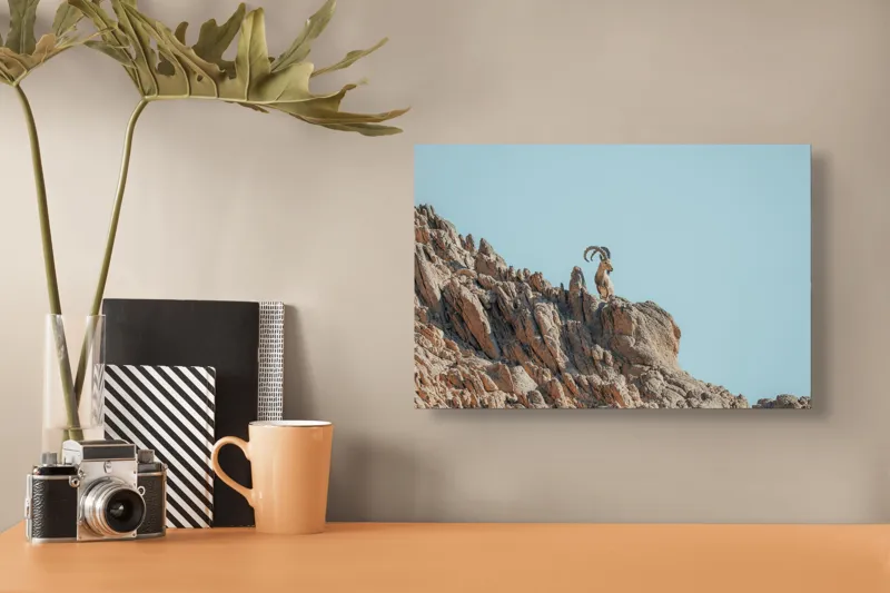 Tablou Canvas, "Capra de stâncă în zare senină", Desert, Capră, Stâncă, Cer, Sălbăticie, Natură, Solitudine, Linie, Orizont, Verticalitate, 39 x 26 cm – poza 3