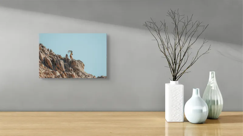 Tablou Canvas, "Capra de stâncă în zare senină", Desert, Capră, Stâncă, Cer, Sălbăticie, Natură, Solitudine, Linie, Orizont, Verticalitate, 39 x 26 cm – poza 8