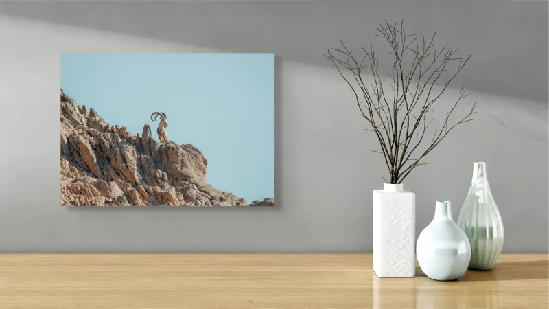 Tablou Canvas, "Capra de stâncă în zare senină", Desert, Capră, Stâncă, Cer, Sălbăticie, Natură, Solitudine, Linie, Orizont, Verticalitate, 54 x 39 cm – poza 3