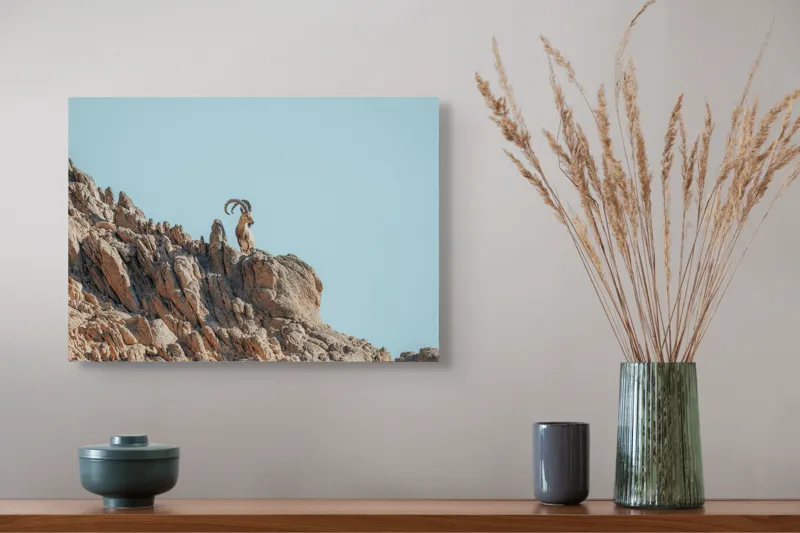 Tablou Canvas, "Capra de stâncă în zare senină", Desert, Capră, Stâncă, Cer, Sălbăticie, Natură, Solitudine, Linie, Orizont, Verticalitate, 54 x 39 cm – poza 4