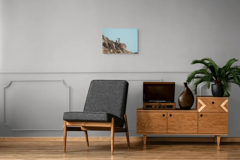 Tablou Canvas, "Capra de stâncă în zare senină", Desert, Capră, Stâncă, Cer, Sălbăticie, Natură, Solitudine, Linie, Orizont, Verticalitate, 54 x 39 cm – poza 7