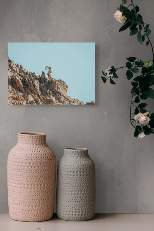 Tablou Canvas, "Capra de stâncă în zare senină", Desert, Capră, Stâncă, Cer, Sălbăticie, Natură, Solitudine, Linie, Orizont, Verticalitate, 54 x 39 cm – poza 8