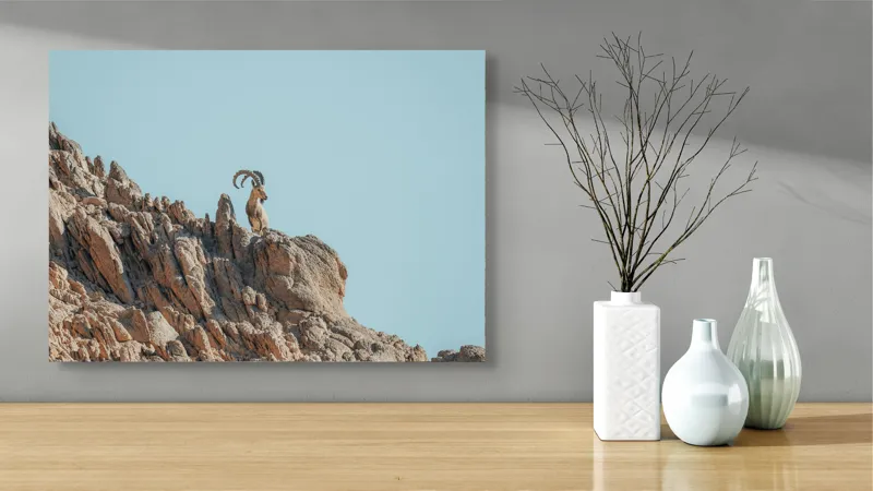 Tablou Canvas, "Capra de stâncă în zare senină", Desert, Capră, Stâncă, Cer, Sălbăticie, Natură, Solitudine, Linie, Orizont, Verticalitate, 70 x 50 cm – poza 3