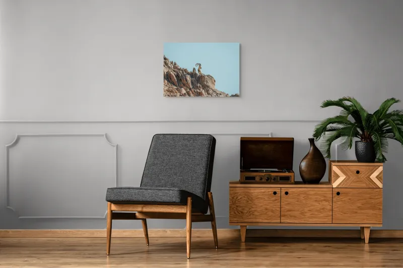 Tablou Canvas, "Capra de stâncă în zare senină", Desert, Capră, Stâncă, Cer, Sălbăticie, Natură, Solitudine, Linie, Orizont, Verticalitate, 70 x 50 cm – poza 4