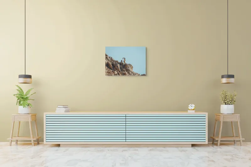 Tablou Canvas, "Capra de stâncă în zare senină", Desert, Capră, Stâncă, Cer, Sălbăticie, Natură, Solitudine, Linie, Orizont, Verticalitate, 70 x 50 cm – poza 7