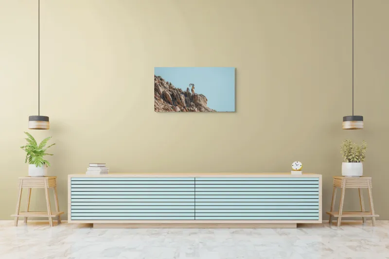 Tablou Canvas, "Capra de stâncă în zare senină", Desert, Capră, Stâncă, Cer, Sălbăticie, Natură, Solitudine, Linie, Orizont, Verticalitate, 90 x 50 cm – poza 5