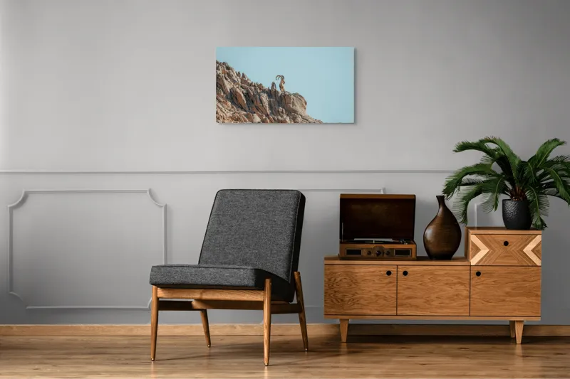 Tablou Canvas, "Capra de stâncă în zare senină", Desert, Capră, Stâncă, Cer, Sălbăticie, Natură, Solitudine, Linie, Orizont, Verticalitate, 90 x 50 cm – poza 6