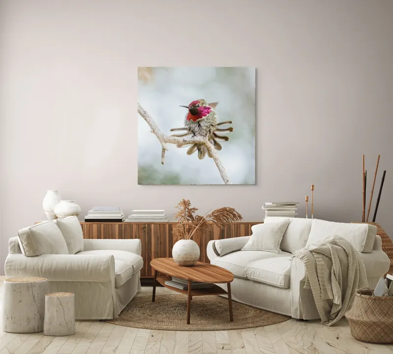 Tablou Canvas, "Colibri multicolor pe creanga uscată", Colorat, Fragil, Agil, Zvelt, Înaripat, Mic, Strălucitor, Vibrant, 100 x 100 cm – poza 3