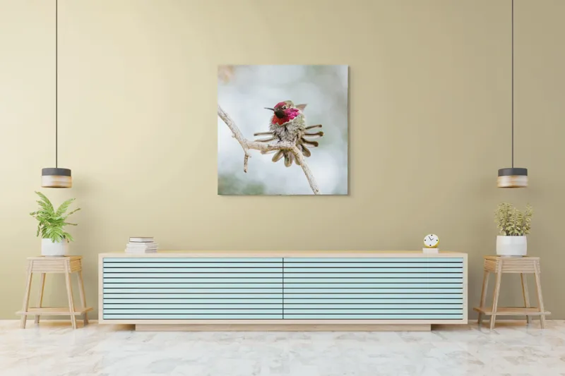 Tablou Canvas, "Colibri multicolor pe creanga uscată", Colorat, Fragil, Agil, Zvelt, Înaripat, Mic, Strălucitor, Vibrant, 100 x 100 cm – poza 5