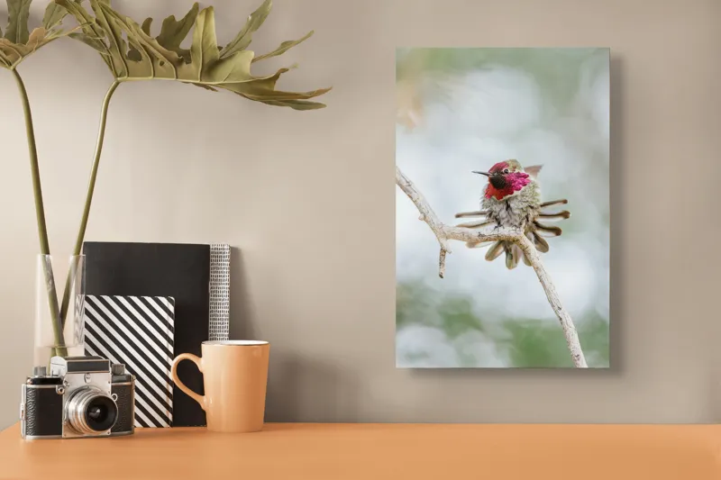 Tablou Canvas, "Colibri multicolor pe creanga uscată", Colorat, Fragil, Agil, Zvelt, Înaripat, Mic, Strălucitor, Vibrant, 26 x 39 cm – poza 3