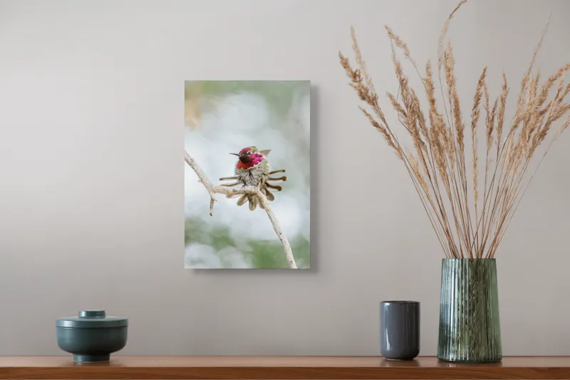 Tablou Canvas, "Colibri multicolor pe creanga uscată", Colorat, Fragil, Agil, Zvelt, Înaripat, Mic, Strălucitor, Vibrant, 26 x 39 cm – poza 5