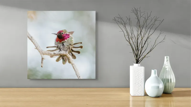 Tablou Canvas, "Colibri multicolor pe creanga uscată", Colorat, Fragil, Agil, Zvelt, Înaripat, Mic, Strălucitor, Vibrant, 50 x 50 cm – poza 3