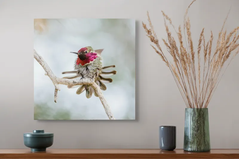 Tablou Canvas, "Colibri multicolor pe creanga uscată", Colorat, Fragil, Agil, Zvelt, Înaripat, Mic, Strălucitor, Vibrant, 50 x 50 cm – poza 4