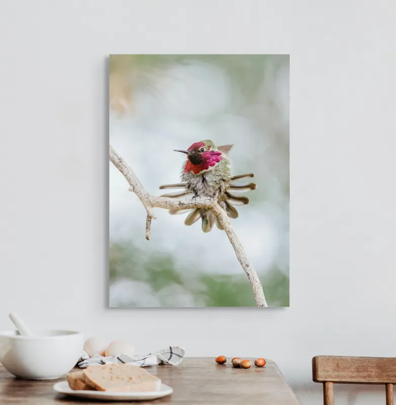 Tablou Canvas, "Colibri multicolor pe creanga uscată", Colorat, Fragil, Agil, Zvelt, Înaripat, Mic, Strălucitor, Vibrant, 50 x 70 cm – poza 3