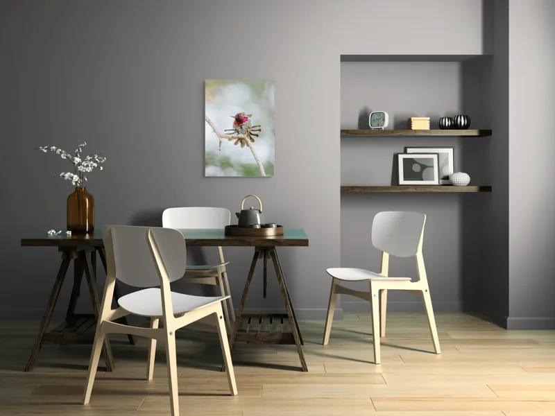 Tablou Canvas, "Colibri multicolor pe creanga uscată", Colorat, Fragil, Agil, Zvelt, Înaripat, Mic, Strălucitor, Vibrant, 50 x 70 cm – poza 5
