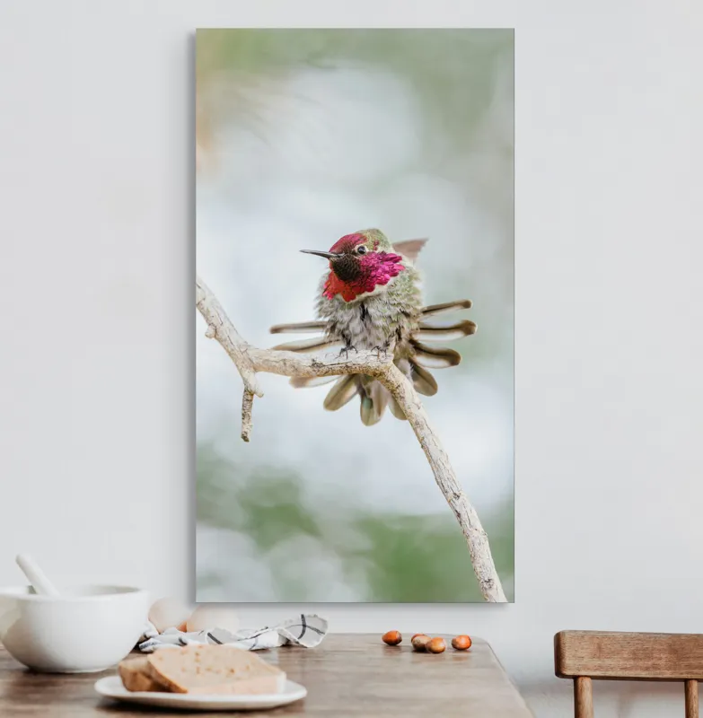 Tablou Canvas, "Colibri multicolor pe creanga uscată", Colorat, Fragil, Agil, Zvelt, Înaripat, Mic, Strălucitor, Vibrant, 50 x 90 cm – poza 3