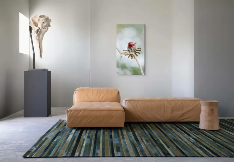 Tablou Canvas, "Colibri multicolor pe creanga uscată", Colorat, Fragil, Agil, Zvelt, Înaripat, Mic, Strălucitor, Vibrant, 50 x 90 cm – poza 5