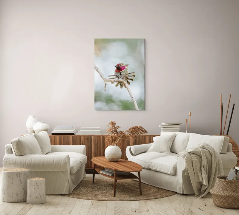 Tablou Canvas, "Colibri multicolor pe creanga uscată", Colorat, Fragil, Agil, Zvelt, Înaripat, Mic, Strălucitor, Vibrant, 70 x 100 cm – poza 4