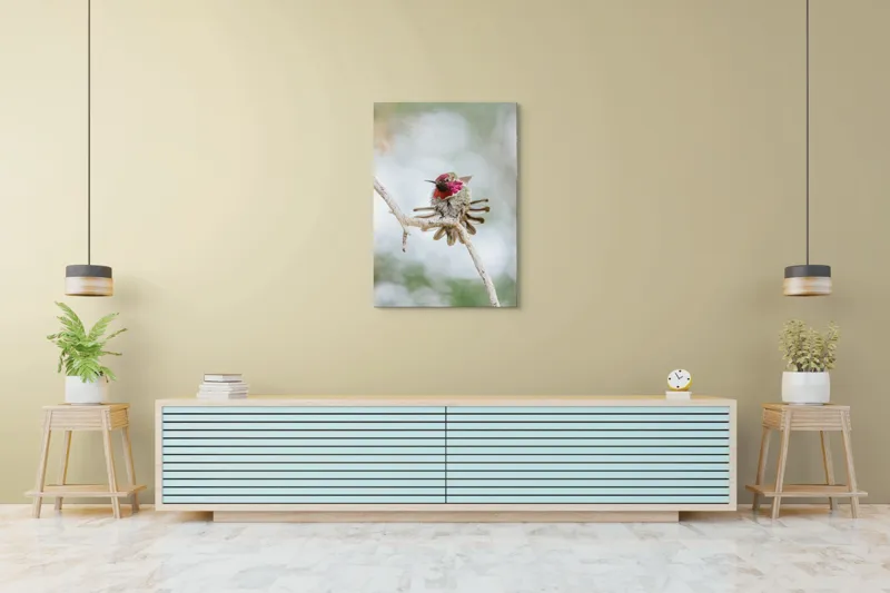 Tablou Canvas, "Colibri multicolor pe creanga uscată", Colorat, Fragil, Agil, Zvelt, Înaripat, Mic, Strălucitor, Vibrant, 70 x 100 cm – poza 5