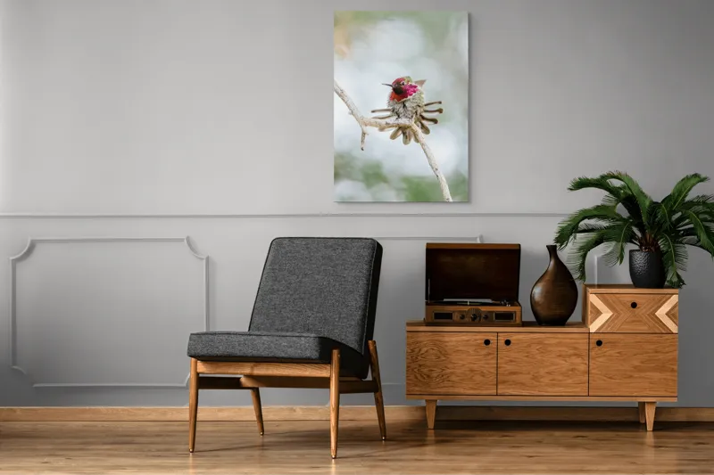 Tablou Canvas, "Colibri multicolor pe creanga uscată", Colorat, Fragil, Agil, Zvelt, Înaripat, Mic, Strălucitor, Vibrant, 70 x 100 cm – poza 6