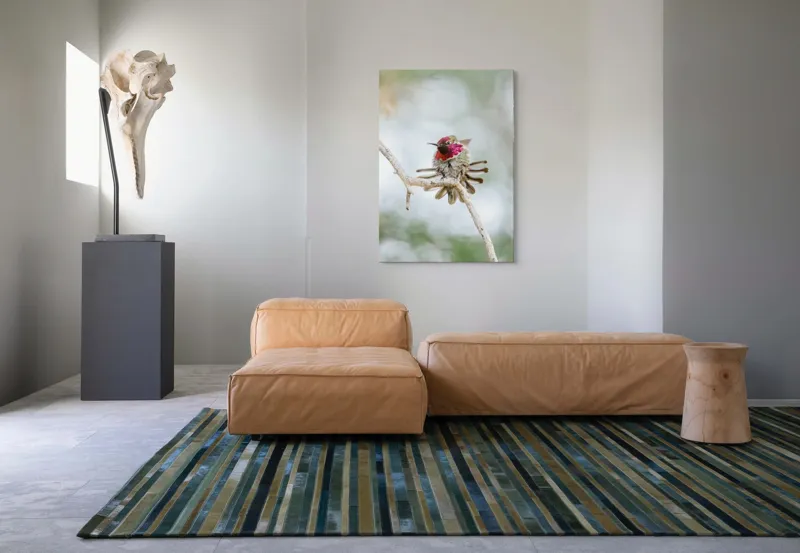 Tablou Canvas, "Colibri multicolor pe creanga uscată", Colorat, Fragil, Agil, Zvelt, Înaripat, Mic, Strălucitor, Vibrant, 70 x 100 cm – poza 7