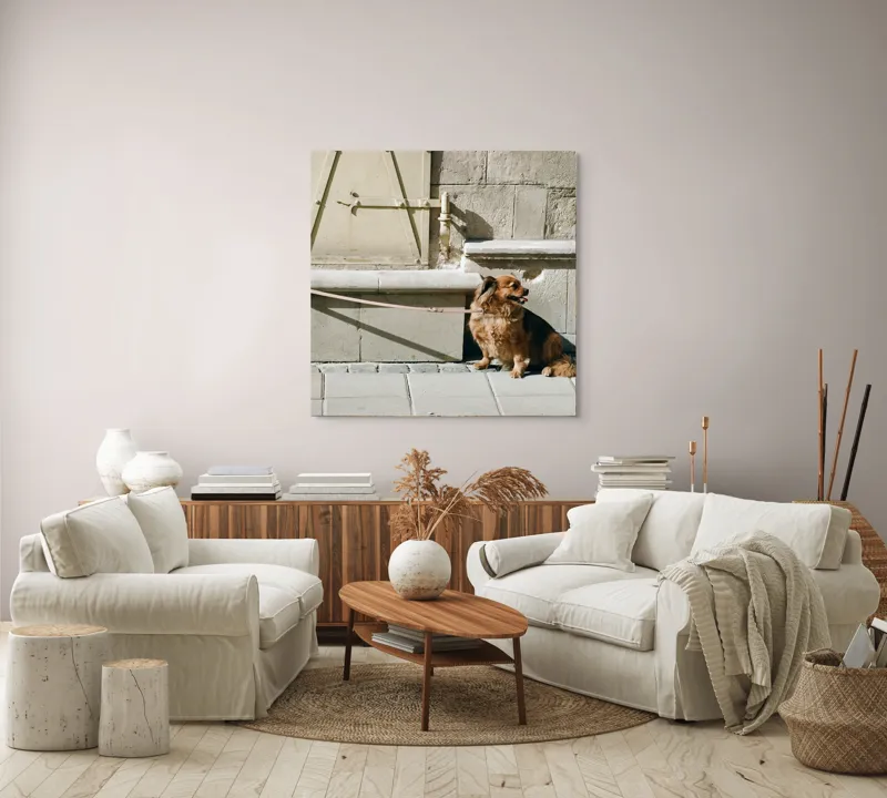 Tablou Canvas, "Câinele așteaptă liniștit la umbră", Câine, Lesă, Umbră, Pereți, Trotuar, Blană, Iluminare, Odihnă, 100 x 100 cm – poza 3