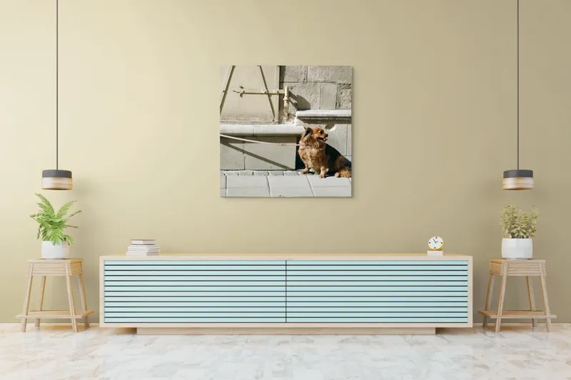 Tablou Canvas, "Câinele așteaptă liniștit la umbră", Câine, Lesă, Umbră, Pereți, Trotuar, Blană, Iluminare, Odihnă, 100 x 100 cm – poza 5