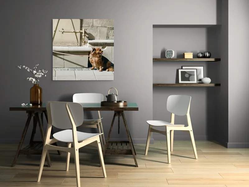 Tablou Canvas, "Câinele așteaptă liniștit la umbră", Câine, Lesă, Umbră, Pereți, Trotuar, Blană, Iluminare, Odihnă, 100 x 100 cm – poza 6