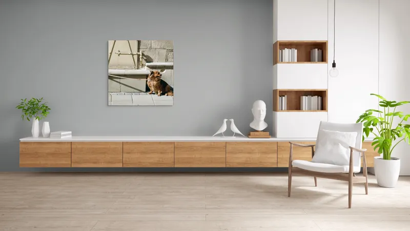 Tablou Canvas, "Câinele așteaptă liniștit la umbră", Câine, Lesă, Umbră, Pereți, Trotuar, Blană, Iluminare, Odihnă, 100 x 100 cm – poza 8