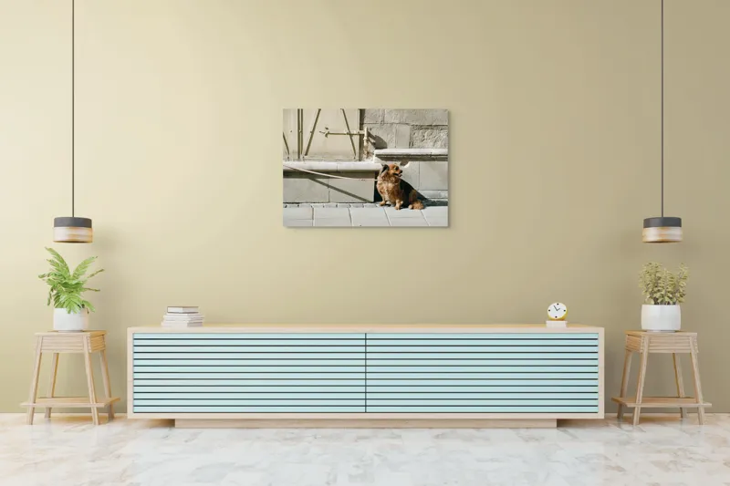 Tablou Canvas, "Câinele așteaptă liniștit la umbră", Câine, Lesă, Umbră, Pereți, Trotuar, Blană, Iluminare, Odihnă, 100 x 70 cm – poza 4