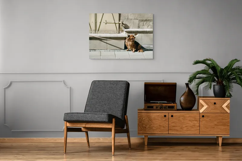 Tablou Canvas, "Câinele așteaptă liniștit la umbră", Câine, Lesă, Umbră, Pereți, Trotuar, Blană, Iluminare, Odihnă, 100 x 70 cm – poza 8