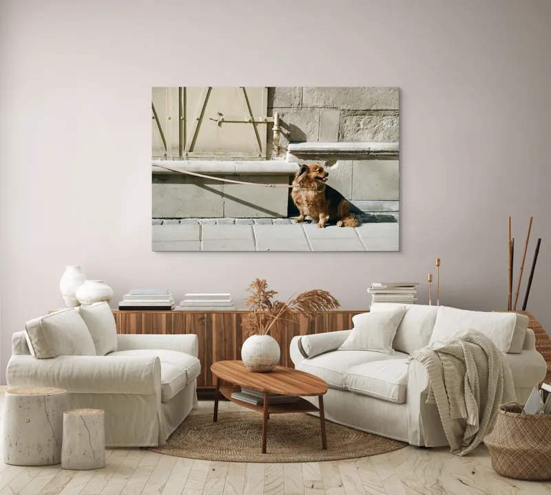 Tablou Canvas, "Câinele așteaptă liniștit la umbră", Câine, Lesă, Umbră, Pereți, Trotuar, Blană, Iluminare, Odihnă, 150 x 100 cm – poza 3