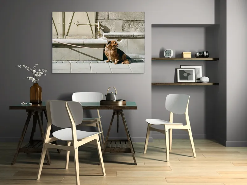 Tablou Canvas, "Câinele așteaptă liniștit la umbră", Câine, Lesă, Umbră, Pereți, Trotuar, Blană, Iluminare, Odihnă, 150 x 100 cm – poza 5