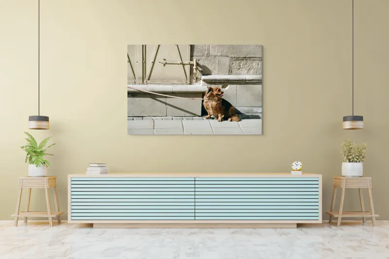 Tablou Canvas, "Câinele așteaptă liniștit la umbră", Câine, Lesă, Umbră, Pereți, Trotuar, Blană, Iluminare, Odihnă, 150 x 100 cm – poza 6