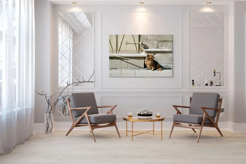 Tablou Canvas, "Câinele așteaptă liniștit la umbră", Câine, Lesă, Umbră, Pereți, Trotuar, Blană, Iluminare, Odihnă, 150 x 100 cm – poza 7