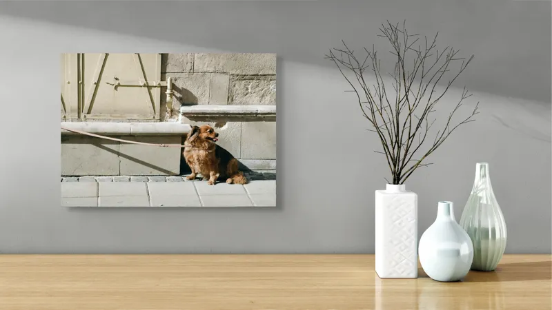 Tablou Canvas, "Câinele așteaptă liniștit la umbră", Câine, Lesă, Umbră, Pereți, Trotuar, Blană, Iluminare, Odihnă, 54 x 39 cm – poza 3