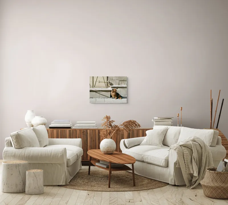 Tablou Canvas, "Câinele așteaptă liniștit la umbră", Câine, Lesă, Umbră, Pereți, Trotuar, Blană, Iluminare, Odihnă, 54 x 39 cm – poza 5