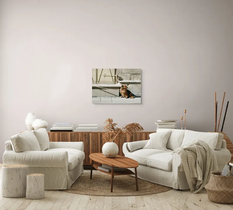 Tablou Canvas, "Câinele așteaptă liniștit la umbră", Câine, Lesă, Umbră, Pereți, Trotuar, Blană, Iluminare, Odihnă, 70 x 50 cm – poza 6