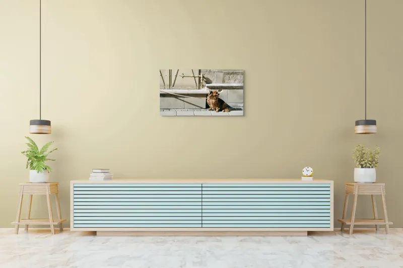 Tablou Canvas, "Câinele așteaptă liniștit la umbră", Câine, Lesă, Umbră, Pereți, Trotuar, Blană, Iluminare, Odihnă, 90 x 50 cm – poza 5