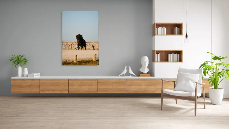 Tablou Canvas, "Bizon în peisaj deșertic american", Bizon, Peisaj, Prerie, Cer, Culmi, 100 x 150 cm – poza 8