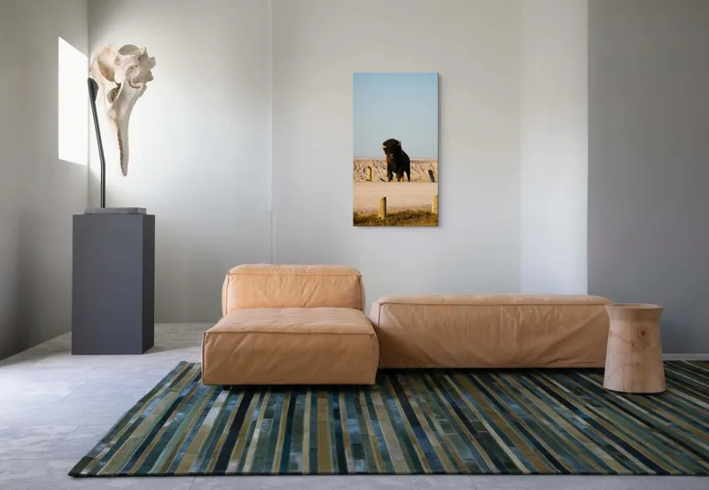 Tablou Canvas, "Bizon în peisaj deșertic american", Bizon, Peisaj, Prerie, Cer, Culmi, 50 x 90 cm – poza 5