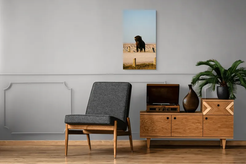 Tablou Canvas, "Bizon în peisaj deșertic american", Bizon, Peisaj, Prerie, Cer, Culmi, 50 x 90 cm – poza 8