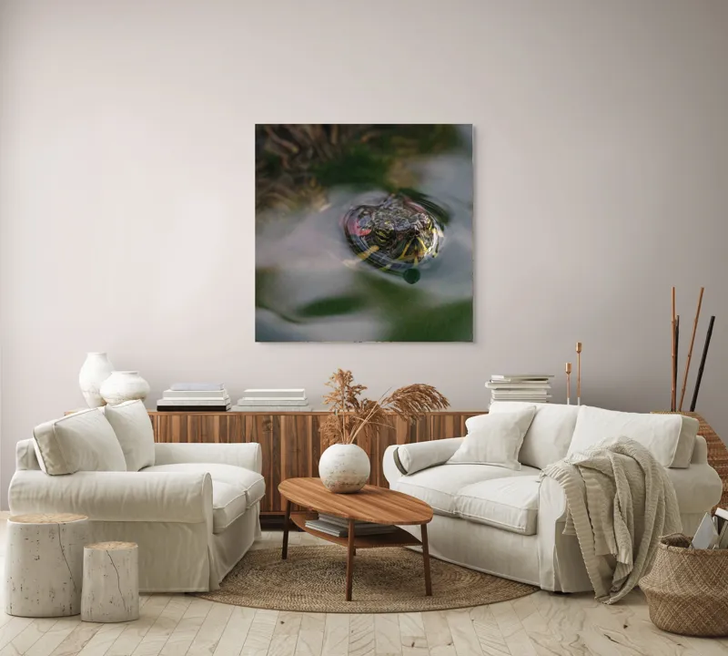 Tablou Canvas, "Broasca țestoasă plutește pe apă calmă", 100 x 100 cm – poza 3